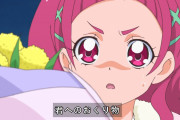【プリキュア】君への贈り物・・・