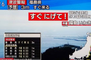 【閲覧注意】「津波は1メートルでも怖い」←これのガチの怖さ見せたろか