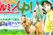 「じゃじゃ馬グルーミングup」とかいう銀の匙にも動物のお医者さんにもなれなかった漫画
