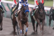 【競馬】ノボバカラくん（4歳）、こんなに走らされてるのにJBCスプリント出走できないかもしれない