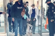 【感動】職務中に重傷を負った警察犬の退院を多くの職員が出迎えるビデオが大人気に。