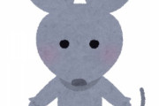 お前らってリアルネズミ見たことある？？？