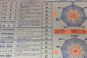 【画像】ワイが教習所で最初やらされた心理テストの結果が出てきたんやがどんなイメージ？