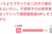 【悲報】女さん、女に興味無いアピをする男を煽る「ブサイクは『二次元』で満足してもらいたい」