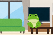 【画像】部屋にカエルいるんだけど…　どうしよう…