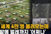 韓国で外国人を含めた4万人以上が参加したスカウト大会、「汚いトイレ」「まともじゃない食事」「ぼったくりのコンビニ」と韓国の真髄を味わってしまう