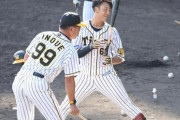 阪神井上打撃コーチ「ホームランを打ち続けろ。ゴロは打つな。」