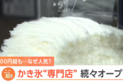 【朗報】かき氷専門店、続々オープン！1000円超のかき氷が人気