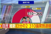 【衆院選】流石に自民だらけで怖くなってきたヤツwww