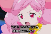 【画像】プリキュアって味方サイドの尻拭い多くね？