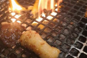 【極上ホルモン】一人で焼肉屋に来てみた