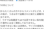 【速報】Xで梨泥棒扱いされたメルカリ出品者、ブチギレ。警察沙汰に