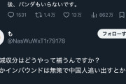 【速報】奈良議員のへずまりゅう、もうボロを出し始める