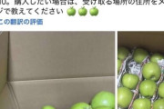 【悲報】ベトナム人が急に、梨、りんご、桃の大量即売祭りをFacebookで始めるwww