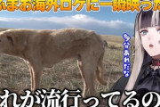 【ホロライブ】らでん、モンゴル犬の流行りに困惑する