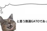 【画像】誠に大きな矢が刺さった猫ちゃんが発見される