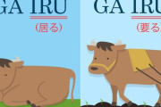 外国人「日本語は漢字1つで同じ発音の文章が違う意味になるようだ…」