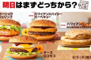 【朗報】マクドナルドの新作、普通にうまそう！！！