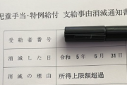 ４人目を授かるのに、国と自治体からはこの仕打ち！見て！→5ch「所得上限額超過」を見せつけられ荒れる