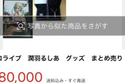 【メルカリ】潤羽るしあさんとまふまふさんのグッズ、無事大量出品へ…