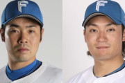 日ハム近藤健介、伊藤大海が侍強化試合内定