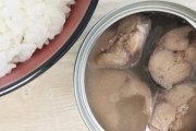『鯖缶』とかいう万能食材に見せかけてそのまま食べる以外のまともな食い方がない缶詰