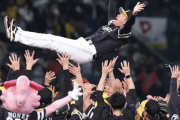 【朗報】セリーグ、阪神が来年も優勝しそうｗｗｗｗｗｗｗｗｗｗｗｗｗｗｗ