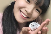 豫風瑠乃ちゃんハムスターを飼っていた！