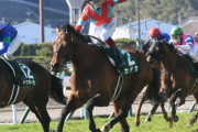 【宝塚記念】松山が阪神5Ｒ馬場入場で落馬負傷 カデナ浜中に乗り替わり
