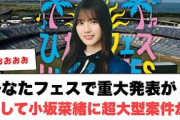 ひなたフェスで重大発表が！︎小坂菜緒に超大型案件が！︎小坂菜緒の始球式の秘密が明らかに[日向坂46]