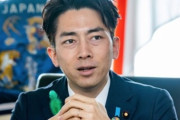 小泉進次郎「住宅の太陽光義務化を視野に」温暖化ガス目標強化に意欲