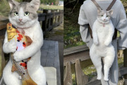 海外「日本人が超リアルなら猫バッグを作ってるんだが・・・」