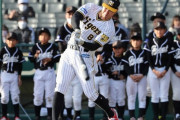 阪神・佐藤輝明　軟式球で驚愕の130メートル超弾「最初はどうなるかと思ったけど」　小学生の度肝抜く