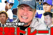 高木豊さん「（京田は）２割６分、７分…できたら８分残してくれたら、もうバリバリのレギュラーですよ」