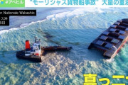 【速報】モーリシャスで座礁した貨物船のインド人船長を逮捕