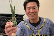 阪神・陽川、ヤク払い同点二塁打！「（井上ヘッドから）“厄払い餅”もらって食べたんですけど、その効果が出ました」