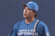【速報】日ハム金村、5回まで1失点の好投続けプロ初勝利の権利！！！！