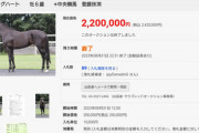 2億円馬をキーファーズがサラブレッドオークションに出品！242万円で落札されるw