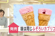 【カプリコ】グリコ「当社はムダな廃棄を無くします！」今まで捨てていた「製造時の基準に外れた廃棄品」カプリコを10個735円で販売