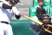 阪神タイガース、ドラフト1位広陵・真鍋慧