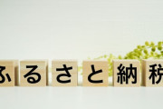 ふるさと納税って制度はなんであんまり批判されないんや？