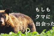 NHKの災害担当記者が取材した「クマに出会ってしまったらどうしたらいいの？」という記事がためになる