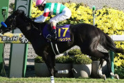 菊花賞馬ドゥレッツァ、金鯱賞から天皇賞(春)へ