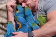 「鳥ってこんな飼い方ができたの？」インコ6羽に人間の子供のような愛情を注ぐ男性