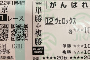 【東京新聞杯】イルーシヴパンサー＆田辺騎手がｷﾀ━━━━(ﾟ∀ﾟ)━━━━!!
