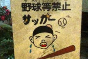 今の子供って公園で野球しないよな