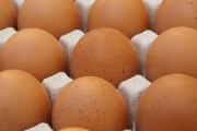 日本の鶏卵価格は韓国の3分の1、なぜそんなに安い？　韓国ネット「うらやましい」「韓国が高すぎ」