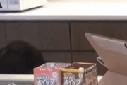 【悲報】福田真琳、猟奇的ｗｗｗｗｗｗｗ