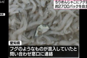 【悲報】ユニー、「ちりめんじゃこ」にフグが混入して回収してしまう