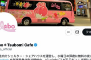 【分析】女性支援団体Colabo炎上のツイート分析結果「Colabo擁護クラスタには共産党系のアカウントが多い」
